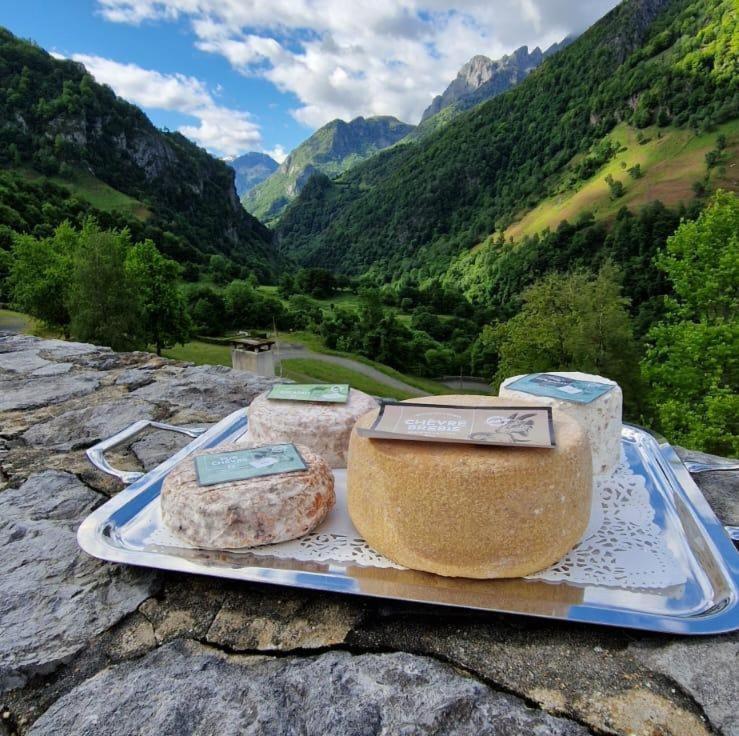 Chateau D'Arance Hotel Restaurant Espace Bien-Etre Cette-Eygun Bagian luar foto